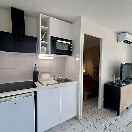 公寓 4 Pers. Centre Avec Terrasse Et Parking - Fr-1-226b-241 *