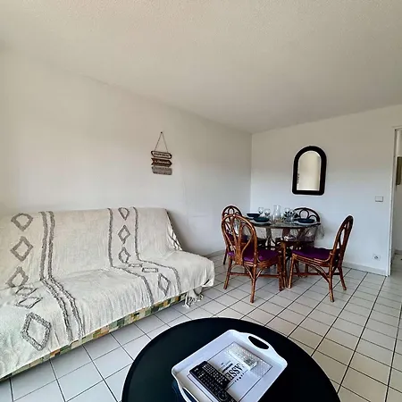 4 Pers. Centre Avec Terrasse Et Parking - Fr-1-226b-241 公寓 滨海卡瓦莱尔